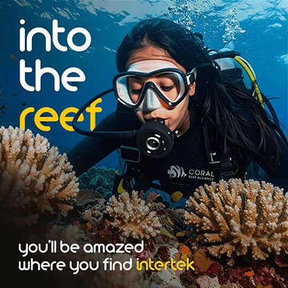 A woman snorkeling near an undersea reef